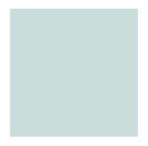 Paris White Base Colour