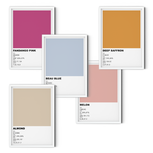 Collection One // Colour Coded